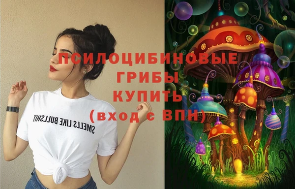 шишки Нея