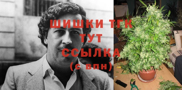 шишки Нея