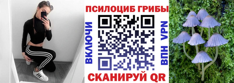 Галлюциногенные грибы Psilocybe Отрадный